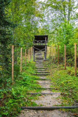 A guard tower overlooks the staircase leading up through dense greenery at the former labor camp Svornost in Jachymov, Czechia, evoking a sense of historical significance. clipart