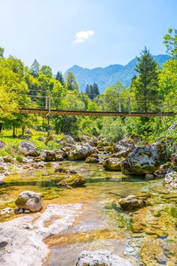 Hikers traverse a wooden bridge above the serene Vrsnica creek, surrounded by lush greenery in the picturesque Soca valley of the Julian Alps on a bright day. clipart