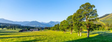 A breathtaking view of the Low Tauern mountains in Austria showcases lush green fields and vibrant trees. The clear sky adds to the tranquility of this picturesque setting, perfect for nature lovers. clipart