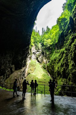 Visitors stand in awe at the rim of Macocha Abyss, gazing at the lush greenery and steep rock walls of this stunning natural wonder in the Moravian Karst region of Czechia. clipart