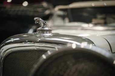 Chrome Jaguar Başlıklı Kız Vintage Araba Süslemesi. Kaliteli bir fotoğraf. Krom bir Jaguar kaput süslemesi. Eski bir arabanın kaputuna konmuş. Gösterişli, zıplayan jaguar figürü güç yayıyor.