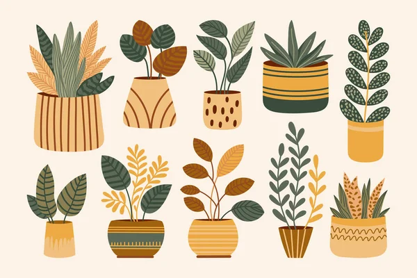 Plantes Pot Flat Isolated Set Illustration Vectorielle — Image vectorielle