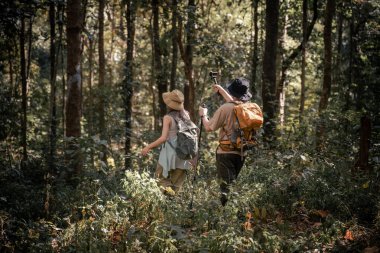 Yürüyüşçüler ya da gezginler sırt çantası taşıyan gezginler, yürüyüş direkleri uzak mesafeye bakar ve muhtemelen gezi ve tatil eko-turizmi konseptine rehberlik ederler..