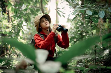 Gezginler ya da gezginler sırt çantası, yürüyüş direkleri ve dürbün taşıyan gezginler uzak mesafeye bakar ve muhtemelen gezi ve tatil eko-turizmine rehberlik ederler.