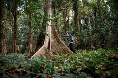 Gezginler ya da gezginler sırt çantası taşıyan gezginler, yürüyüş direkleri uzak mesafeye bakar ve muhtemelen yürüyüş ve yol keşfi ve tatil eko-turizmi kavramına rehberlik ederler..