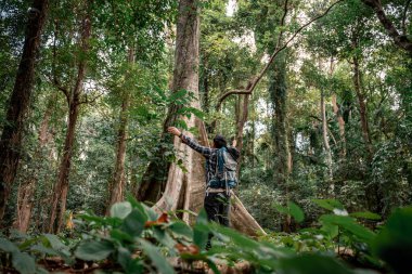 Gezginler ya da gezginler sırt çantası taşıyan gezginler, yürüyüş direkleri uzak mesafeye bakar ve muhtemelen yürüyüş ve yol keşfi ve tatil eko-turizmi kavramına rehberlik ederler..