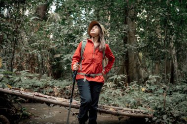 Gezginler ya da gezginler sırt çantası taşıyan gezginler, yürüyüş direkleri uzak mesafeye bakar ve muhtemelen yürüyüş ve yol keşfi ve tatil eko-turizmi kavramına rehberlik ederler..