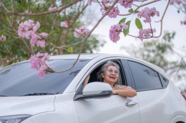 Pembe çiçeklerin neşeyle dallanan yaşlı bir kadın arabanın tepesinde dikilirken bir yolculuğa ya da barışçıl bir kaçışa işaret ediyor, doğayla olan özgürlük ve keşif bağını simgeliyor..