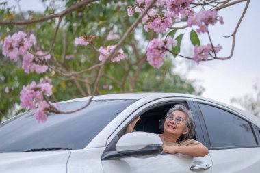 Pembe çiçeklerin neşeyle dallanan yaşlı bir kadın arabanın tepesinde dikilirken bir yolculuğa ya da barışçıl bir kaçışa işaret ediyor, doğayla olan özgürlük ve keşif bağını simgeliyor..