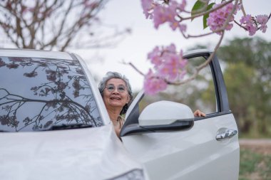 Pembe çiçeklerin neşeyle dallanan yaşlı bir kadın arabanın tepesinde dikilirken bir yolculuğa ya da barışçıl bir kaçışa işaret ediyor, doğayla olan özgürlük ve keşif bağını simgeliyor..