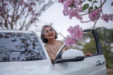 Pembe çiçeklerin neşeyle dallanan yaşlı bir kadın arabanın tepesinde dikilirken bir yolculuğa ya da barışçıl bir kaçışa işaret ediyor, doğayla olan özgürlük ve keşif bağını simgeliyor..