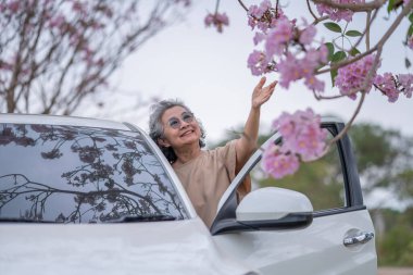 Pembe çiçeklerin neşeyle dallanan yaşlı bir kadın arabanın tepesinde dikilirken bir yolculuğa ya da barışçıl bir kaçışa işaret ediyor, doğayla olan özgürlük ve keşif bağını simgeliyor..