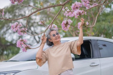 Pembe çiçeklerin neşeyle dallanan yaşlı bir kadın arabanın tepesinde dikilirken bir yolculuğa ya da barışçıl bir kaçışa işaret ediyor, doğayla olan özgürlük ve keşif bağını simgeliyor..