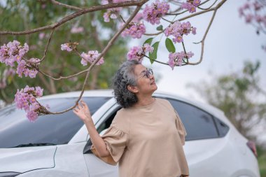 Pembe çiçeklerin neşeyle dallanan yaşlı bir kadın arabanın tepesinde dikilirken bir yolculuğa ya da barışçıl bir kaçışa işaret ediyor, doğayla olan özgürlük ve keşif bağını simgeliyor..