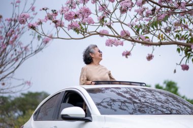 Pembe çiçeklerin neşeyle dallanan yaşlı bir kadın arabanın tepesinde dikilirken bir yolculuğa ya da barışçıl bir kaçışa işaret ediyor, doğayla olan özgürlük ve keşif bağını simgeliyor..