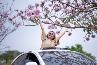 Pembe çiçeklerin neşeyle dallanan yaşlı bir kadın arabanın tepesinde dikilirken bir yolculuğa ya da barışçıl bir kaçışa işaret ediyor, doğayla olan özgürlük ve keşif bağını simgeliyor..