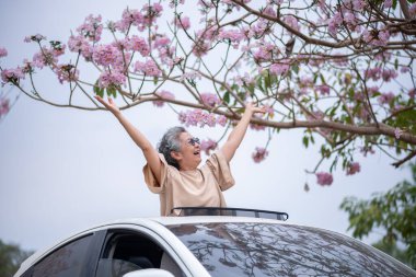 Pembe çiçeklerin neşeyle dallanan yaşlı bir kadın arabanın tepesinde dikilirken bir yolculuğa ya da barışçıl bir kaçışa işaret ediyor, doğayla olan özgürlük ve keşif bağını simgeliyor..