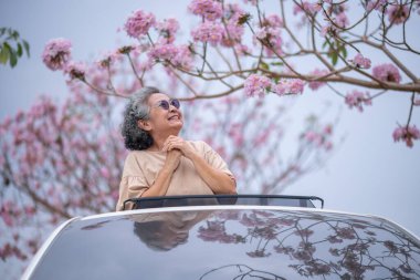 Pembe çiçeklerin neşeyle dallanan yaşlı bir kadın arabanın tepesinde dikilirken bir yolculuğa ya da barışçıl bir kaçışa işaret ediyor, doğayla olan özgürlük ve keşif bağını simgeliyor..