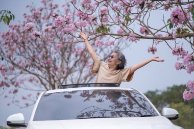 Pembe çiçeklerin neşeyle dallanan yaşlı bir kadın arabanın tepesinde dikilirken bir yolculuğa ya da barışçıl bir kaçışa işaret ediyor, doğayla olan özgürlük ve keşif bağını simgeliyor..