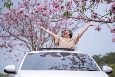 Pembe çiçeklerin neşeyle dallanan yaşlı bir kadın arabanın tepesinde dikilirken bir yolculuğa ya da barışçıl bir kaçışa işaret ediyor, doğayla olan özgürlük ve keşif bağını simgeliyor..