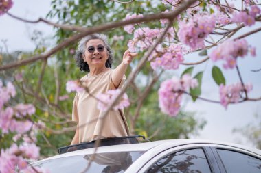 Pembe çiçeklerin neşeyle dallanan yaşlı bir kadın arabanın tepesinde dikilirken bir yolculuğa ya da barışçıl bir kaçışa işaret ediyor, doğayla olan özgürlük ve keşif bağını simgeliyor..