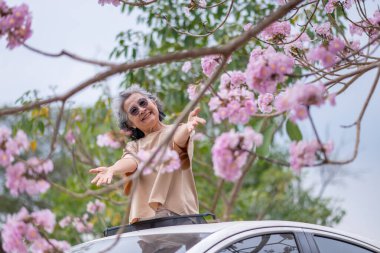 Pembe çiçeklerin neşeyle dallanan yaşlı bir kadın arabanın tepesinde dikilirken bir yolculuğa ya da barışçıl bir kaçışa işaret ediyor, doğayla olan özgürlük ve keşif bağını simgeliyor..