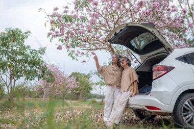 Pembe çiçeklerin neşeyle dallanan yaşlı bir kadın arabanın tepesinde dikilirken bir yolculuğa ya da barışçıl bir kaçışa işaret ediyor, doğayla olan özgürlük ve keşif bağını simgeliyor..