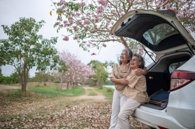 Pembe çiçeklerin neşeyle dallanan yaşlı bir kadın arabanın tepesinde dikilirken bir yolculuğa ya da barışçıl bir kaçışa işaret ediyor, doğayla olan özgürlük ve keşif bağını simgeliyor..