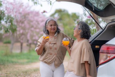 Serinletici portakal suyunun tadını çıkaran iki yaşlı kadın pembe çiçekli sağlıklı bir içecek dostluğun, rahatlamanın ve sevilen doğayla özel anları paylaşmanın esansını yakalar..  