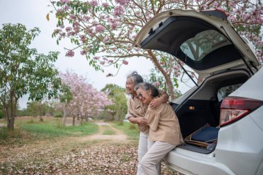 Pembe çiçeklerin neşeyle dallanan yaşlı bir kadın arabanın tepesinde dikilirken bir yolculuğa ya da barışçıl bir kaçışa işaret ediyor, doğayla olan özgürlük ve keşif bağını simgeliyor..