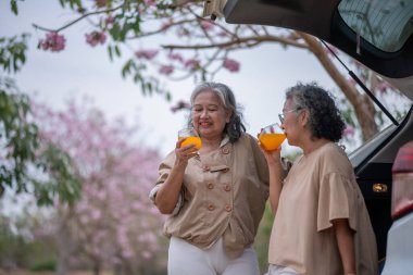 Serinletici portakal suyunun tadını çıkaran iki yaşlı kadın pembe çiçekli sağlıklı bir içecek dostluğun, rahatlamanın ve sevilen doğayla özel anları paylaşmanın esansını yakalar..  