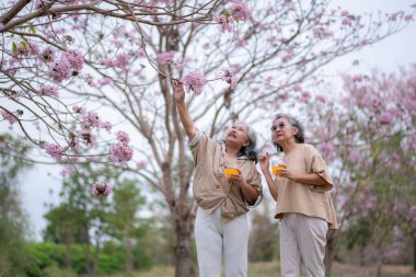Serinletici portakal suyunun tadını çıkaran iki yaşlı kadın pembe çiçekli sağlıklı bir içecek dostluğun, rahatlamanın ve sevilen doğayla özel anları paylaşmanın esansını yakalar..  