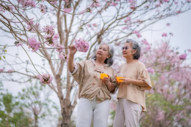 Serinletici portakal suyunun tadını çıkaran iki yaşlı kadın pembe çiçekli sağlıklı bir içecek dostluğun, rahatlamanın ve sevilen doğayla özel anları paylaşmanın esansını yakalar..  