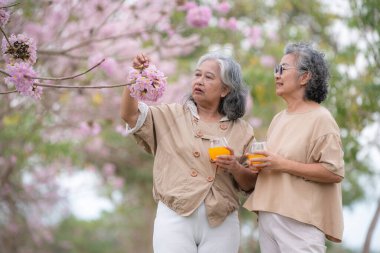 Serinletici portakal suyunun tadını çıkaran iki yaşlı kadın pembe çiçekli sağlıklı bir içecek dostluğun, rahatlamanın ve sevilen doğayla özel anları paylaşmanın esansını yakalar..  
