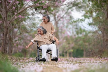 Arkadaşlık temalı tekerlekli sandalye temalı pembe çiçeklerle çevrili güzel doğa ortamındaki kadınlar, genel olarak sevgi, şefkat ve insan bağlantıları yayar..