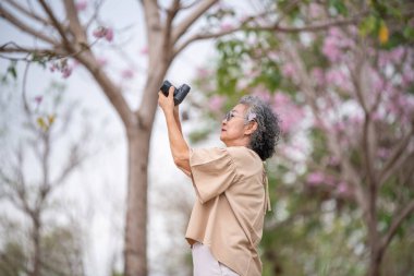 Elinde fotoğraf makinesi olan yaşlı bir kadın portresi. Bir grup pembe çiçek. Doğa ve fotoğrafçılığa duyulan hayranlık..