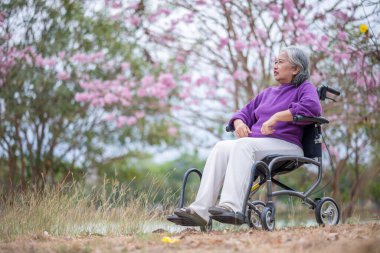 Arkadaşlık temalı tekerlekli sandalye temalı pembe çiçeklerle çevrili güzel doğa ortamındaki kadınlar, genel olarak sevgi, şefkat ve insan bağlantıları yayar..