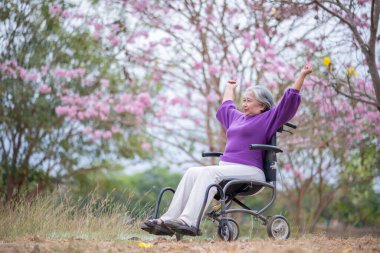 Arkadaşlık temalı tekerlekli sandalye temalı pembe çiçeklerle çevrili güzel doğa ortamındaki kadınlar, genel olarak sevgi, şefkat ve insan bağlantıları yayar..