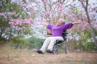 Arkadaşlık temalı tekerlekli sandalye temalı pembe çiçeklerle çevrili güzel doğa ortamındaki kadınlar, genel olarak sevgi, şefkat ve insan bağlantıları yayar..