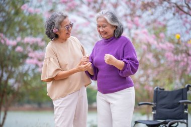 Arkadaşlık temalı tekerlekli sandalye temalı pembe çiçeklerle çevrili güzel doğa ortamındaki kadınlar, genel olarak sevgi, şefkat ve insan bağlantıları yayar..