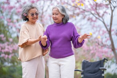 Arkadaşlık temalı tekerlekli sandalye temalı pembe çiçeklerle çevrili güzel doğa ortamındaki kadınlar, genel olarak sevgi, şefkat ve insan bağlantıları yayar..
