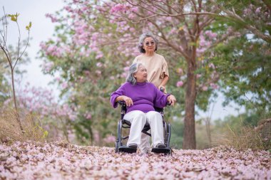 Arkadaşlık temalı tekerlekli sandalye temalı pembe çiçeklerle çevrili güzel doğa ortamındaki kadınlar, genel olarak sevgi, şefkat ve insan bağlantıları yayar..