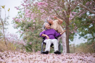 Arkadaşlık temalı tekerlekli sandalye temalı pembe çiçeklerle çevrili güzel doğa ortamındaki kadınlar, genel olarak sevgi, şefkat ve insan bağlantıları yayar..