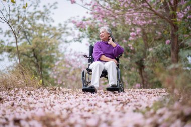 Arkadaşlık temalı tekerlekli sandalye temalı pembe çiçeklerle çevrili güzel doğa ortamındaki kadınlar, genel olarak sevgi, şefkat ve insan bağlantıları yayar..