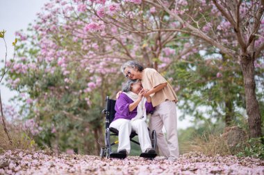 Arkadaşlık temalı tekerlekli sandalye temalı pembe çiçeklerle çevrili güzel doğa ortamındaki kadınlar, genel olarak sevgi, şefkat ve insan bağlantıları yayar..
