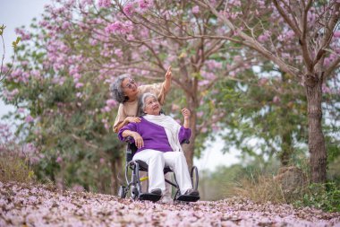 Arkadaşlık temalı tekerlekli sandalye temalı pembe çiçeklerle çevrili güzel doğa ortamındaki kadınlar, genel olarak sevgi, şefkat ve insan bağlantıları yayar..
