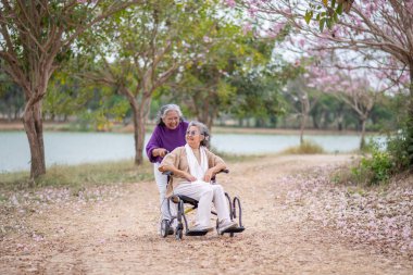 Arkadaşlık temalı tekerlekli sandalye temalı pembe çiçeklerle çevrili güzel doğa ortamındaki kadınlar, genel olarak sevgi, şefkat ve insan bağlantıları yayar..