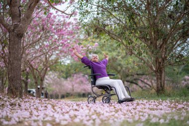 Arkadaşlık temalı tekerlekli sandalye temalı pembe çiçeklerle çevrili güzel doğa ortamındaki kadınlar, genel olarak sevgi, şefkat ve insan bağlantıları yayar..