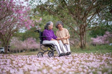 Arkadaşlık temalı tekerlekli sandalye temalı pembe çiçeklerle çevrili güzel doğa ortamındaki kadınlar, genel olarak sevgi, şefkat ve insan bağlantıları yayar..