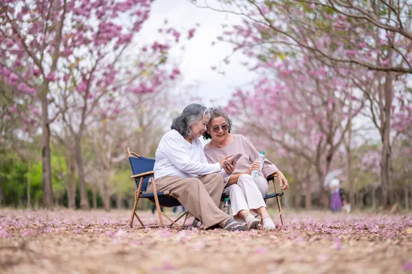 Gri saçlı yaşlı kadınlar birlikte güzel bir anın tadını çıkarıyorlar. Etrafı çiçek açan pembe çiçeklerle çevrili. İfadeler derin dostluk ve mutluluğu yansıtıyor..